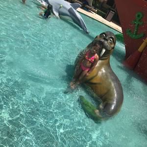 Meet your Posher, Mariel